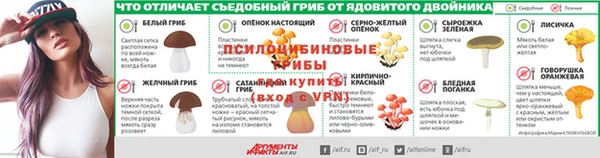 apvp Дмитровск