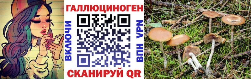 Купить закладки  Правдинск  Псилоцибиновые грибы ЛСД 
